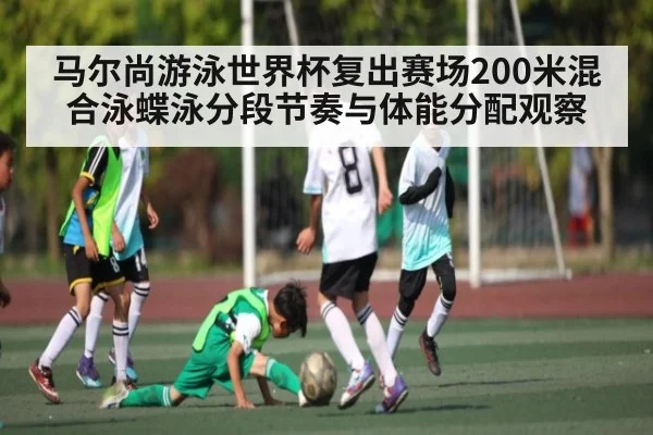 马尔尚游泳世界杯复出赛场200米混合泳蝶泳分段节奏与体能分配观察